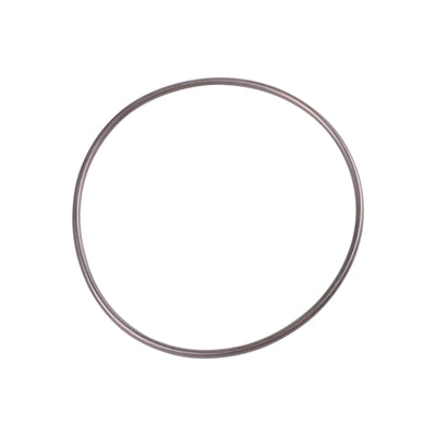 O-Ring for AquaMax & Aquarius Eco Expert