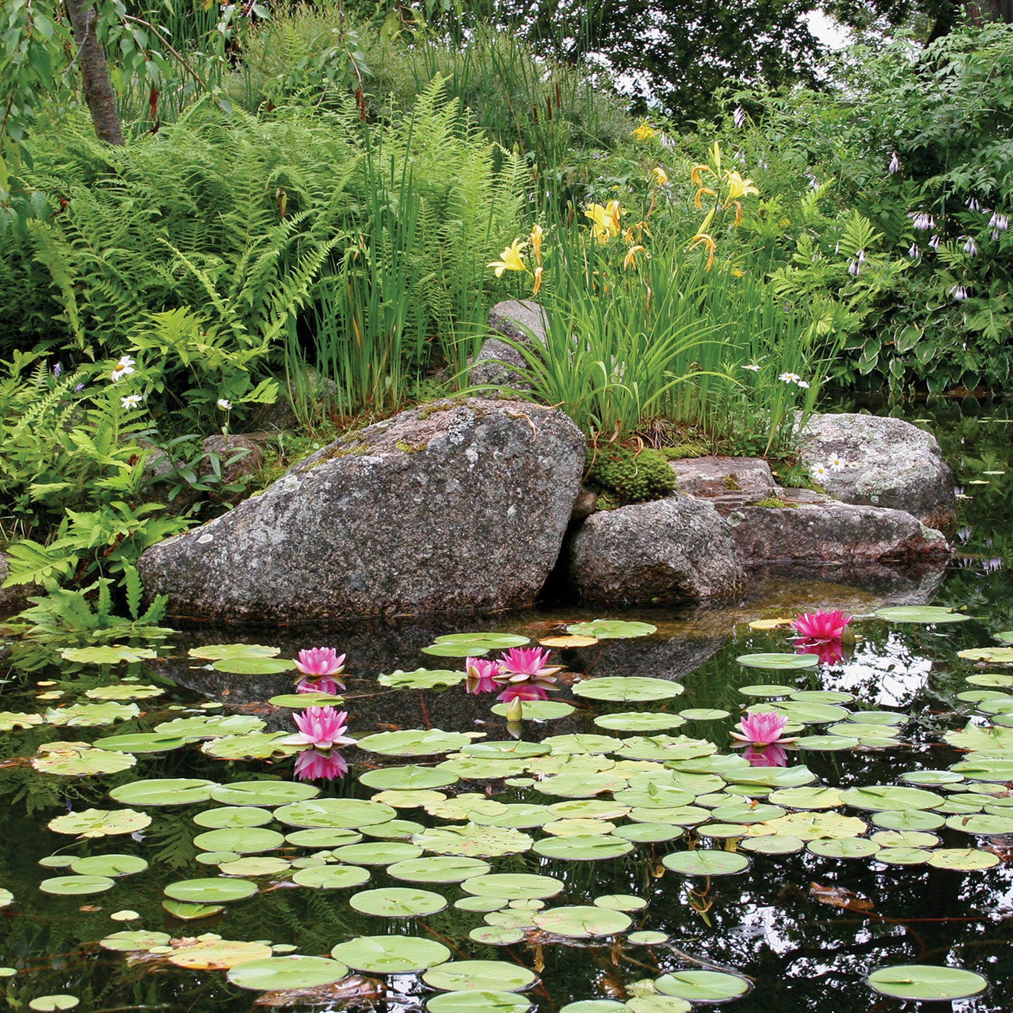 Atlantic Water Garden Kit - Thumbnail 2