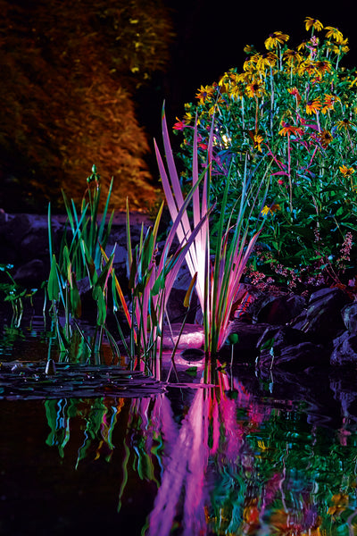 ProfiLux Garden LED RGB Set 3 In use at night