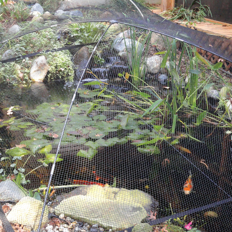 Pond & Garden Protector - Small In use