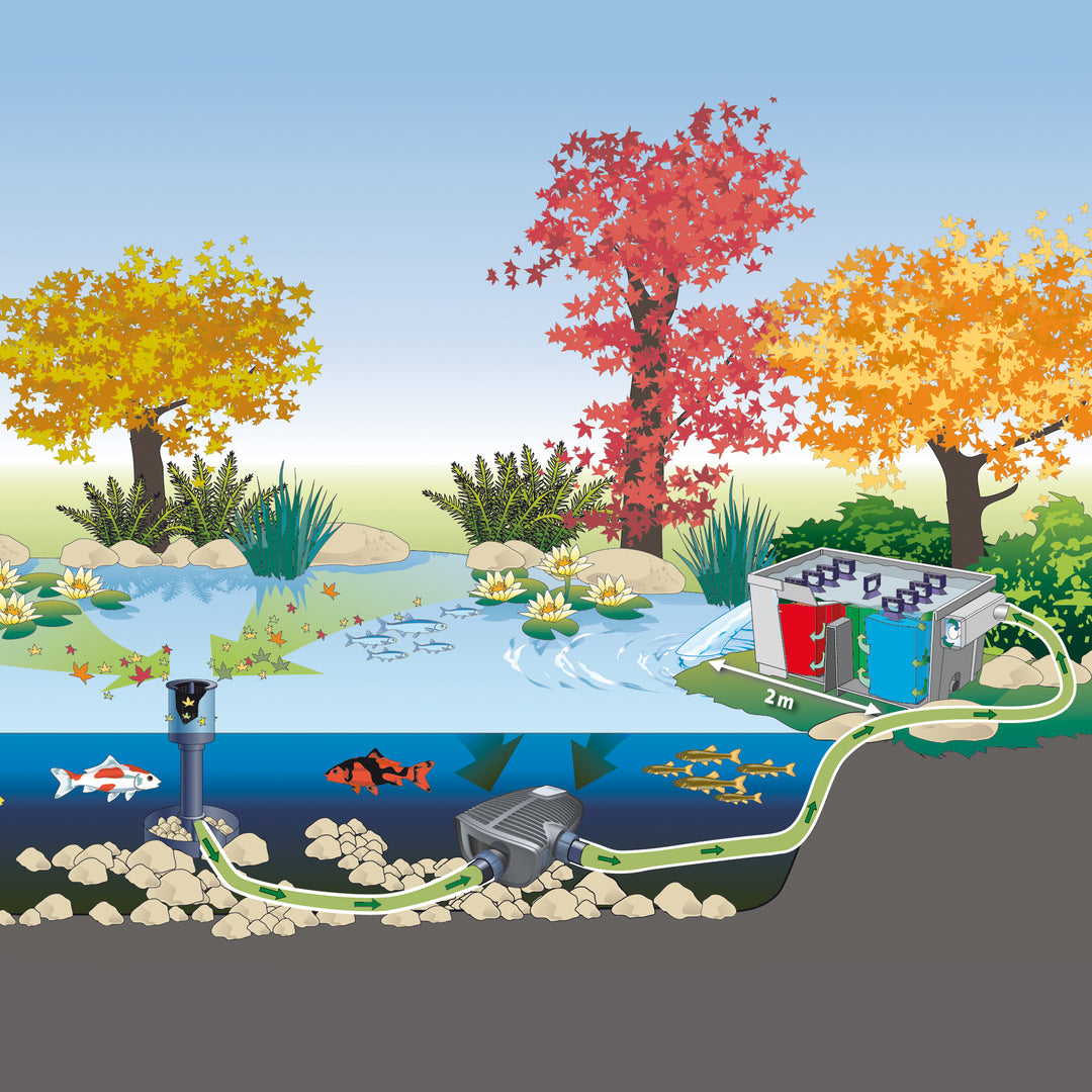 AquaSkim Gravity – Atlantic-OASE